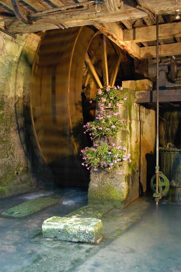 Moulin De La Fleuristerie Frühstückspension